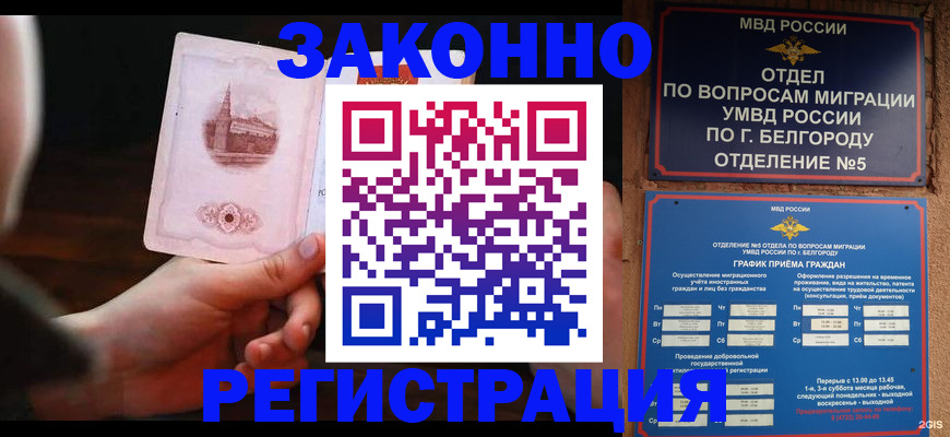 прописка 2025 в Чаплыгине